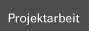 Projektarbeit-TSR